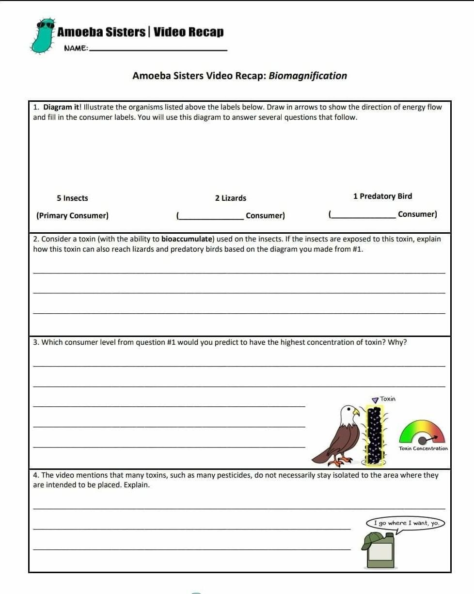 Solved Amoeba Sisters Video Recap NAME Amoeba Sisters Video Chegg