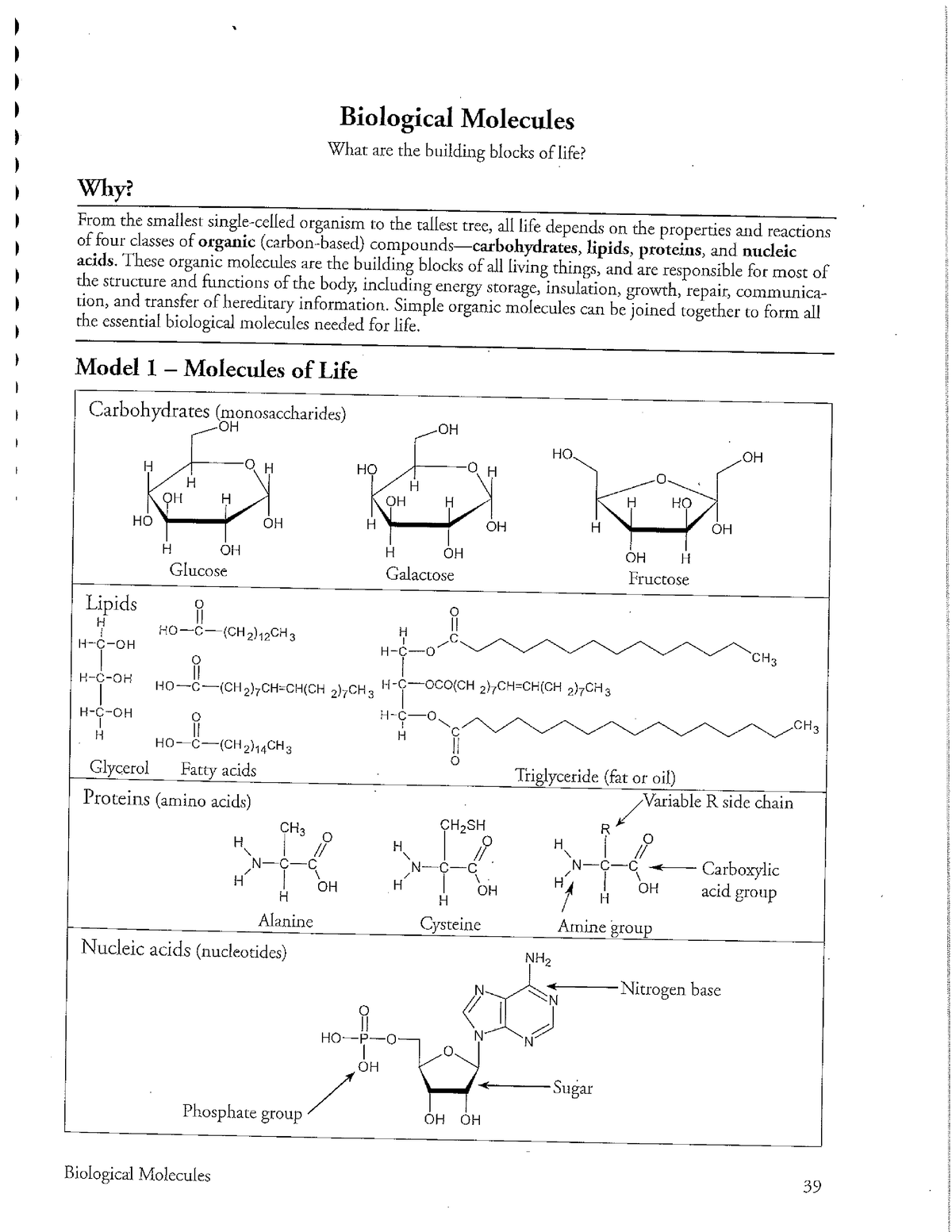 biomolecules worksheet with answers pdf biomolecules worksheet with answers pdf