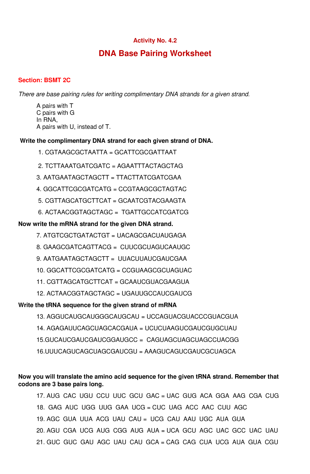 dna base pairing worksheet answer key dna base pairing worksheet answer key