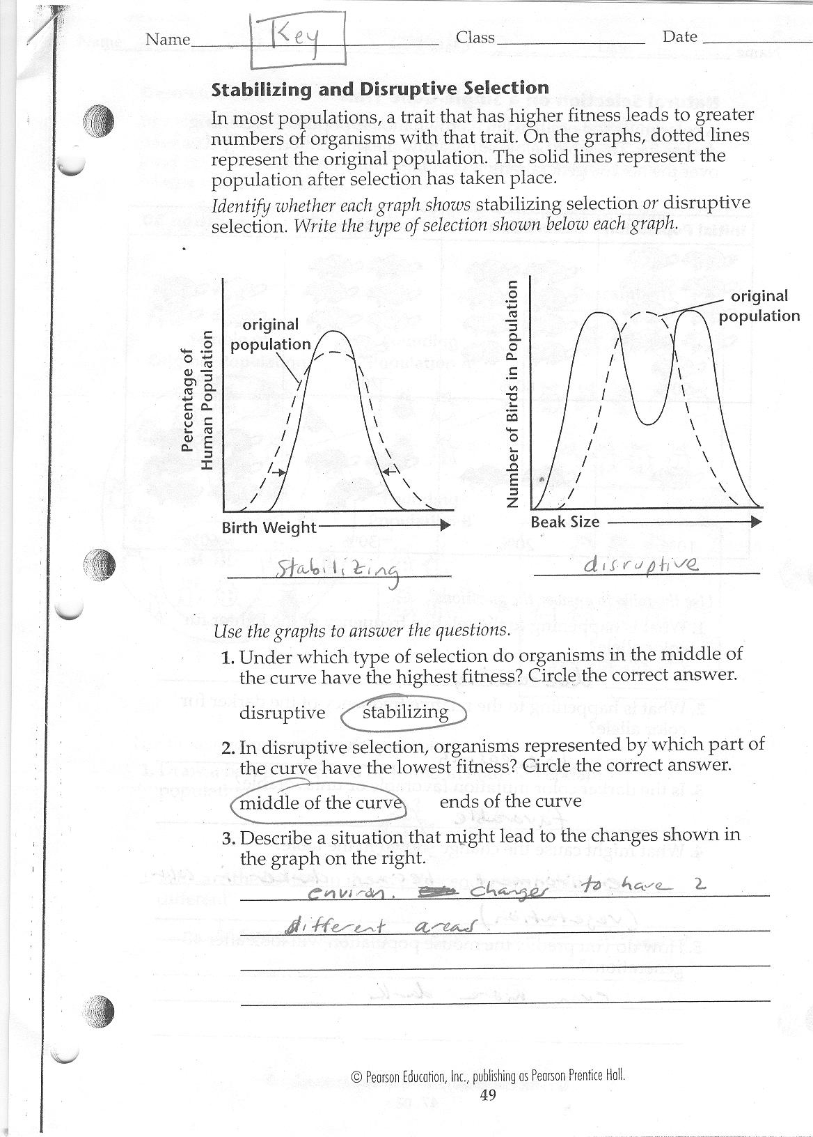 Straubel Biology 2010 2011 Straubel Biology 2010 2011