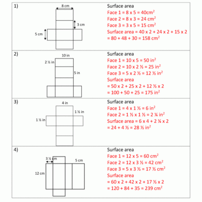 Surface Area Worksheet 6th Grade