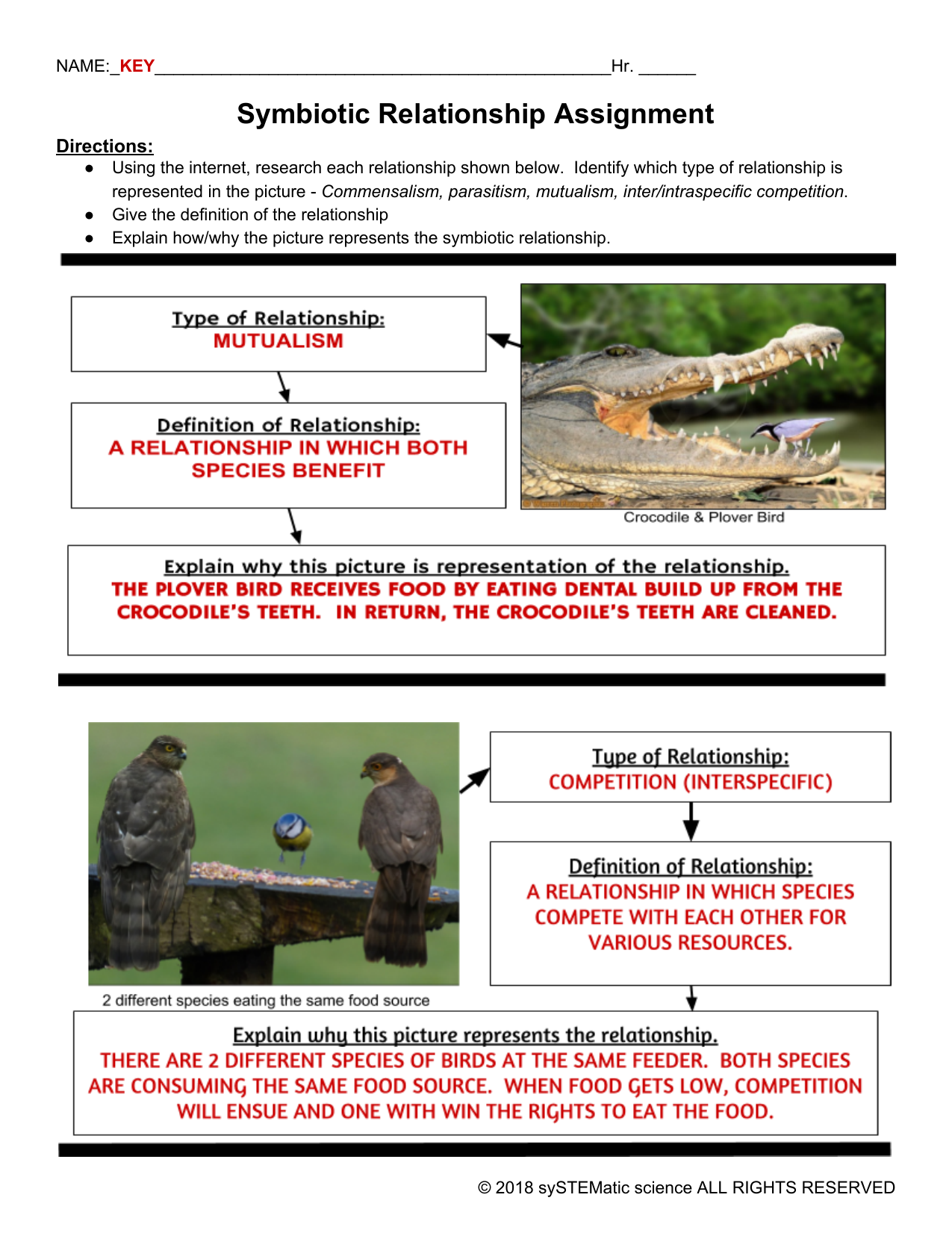 Symbiotic Relationships Assignment Mutualism Competition Symbiotic Relationships Assignment Mutualism Competition