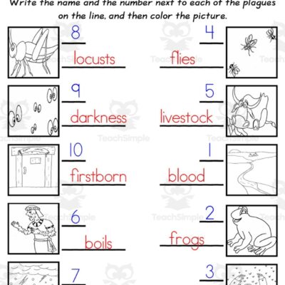 The 10 Plagues Of Egypt Worksheet Pack By Teach Simple
