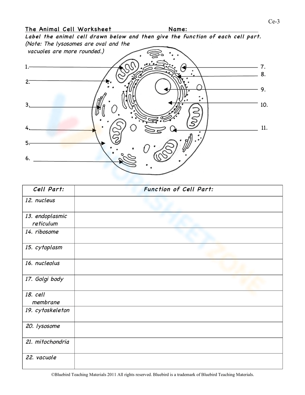 The Animal Cell Worksheet Worksheet Worksheets Library