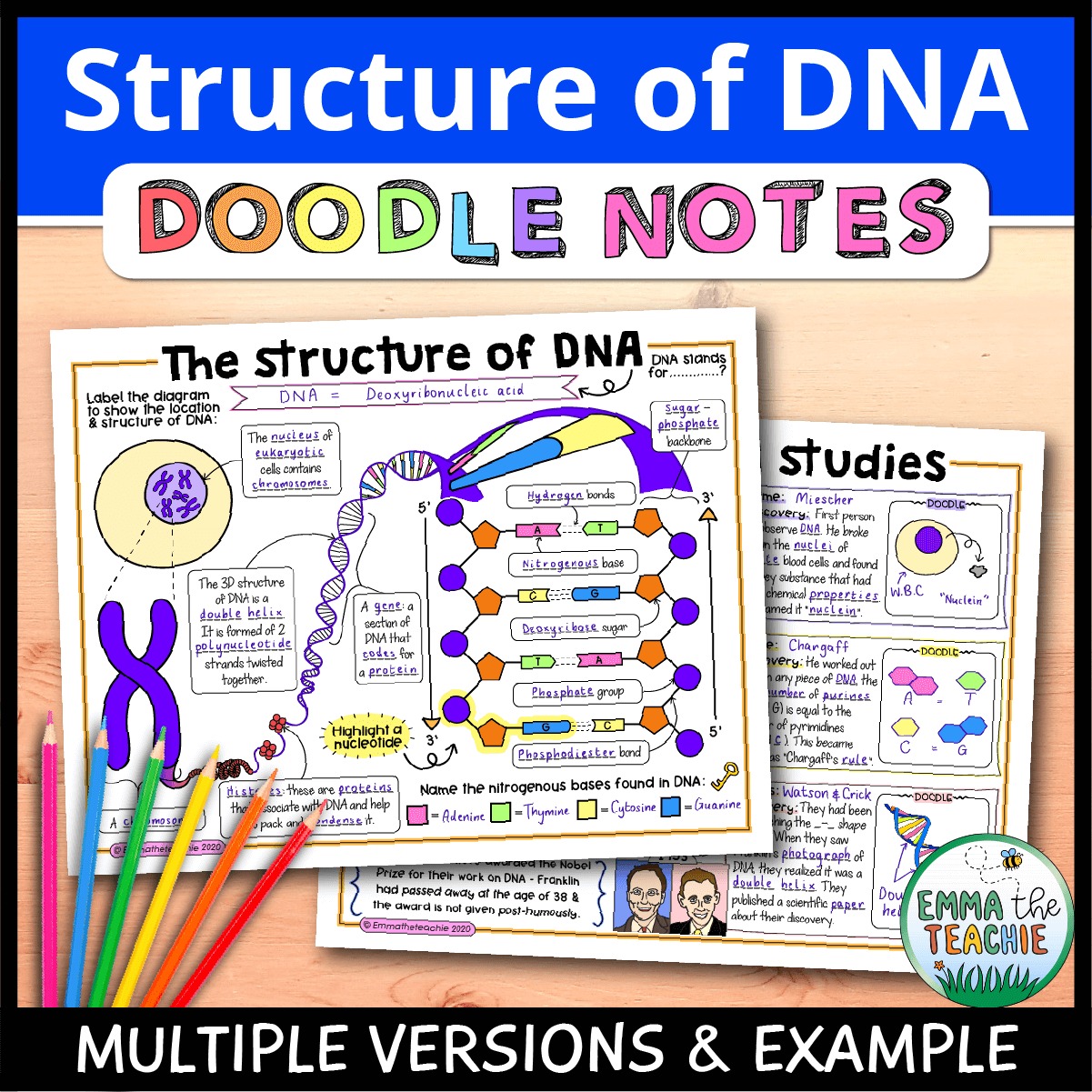 The Structure Of DNA Doodle Notes Emmatheteachie
