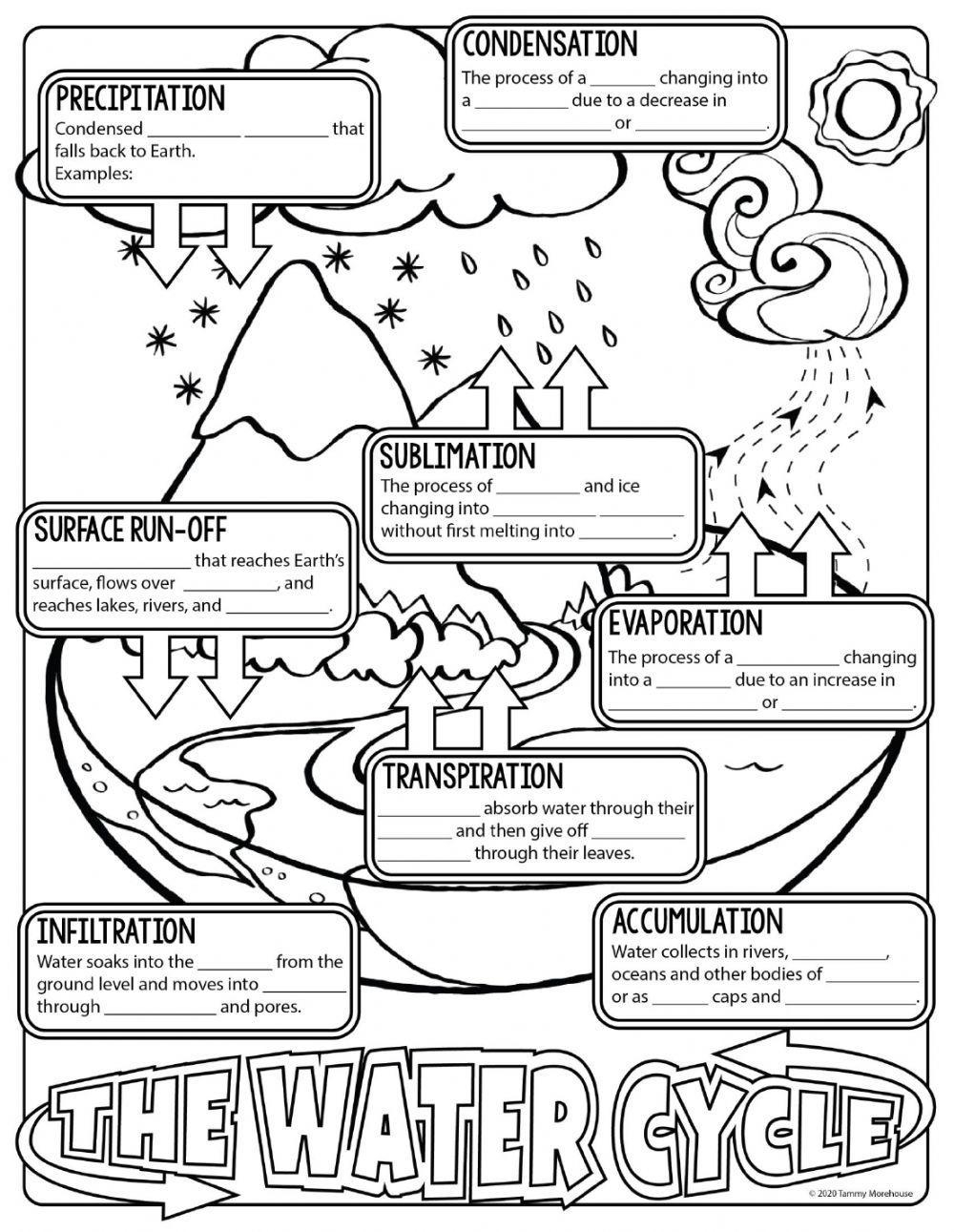 The Water Cycle Notes Worksheet Worksheets Library