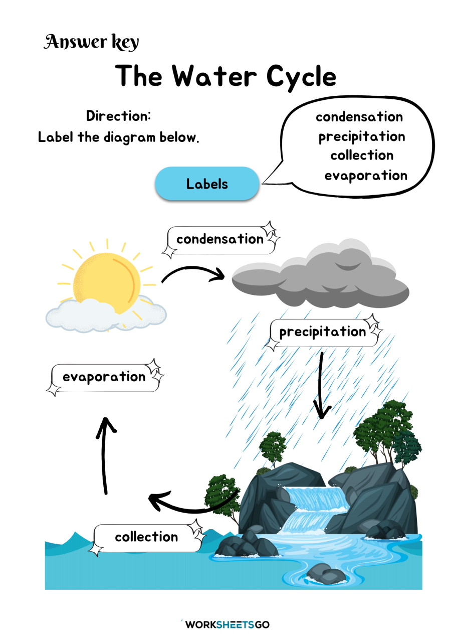 water cycle worksheet with answers water cycle worksheet with answers