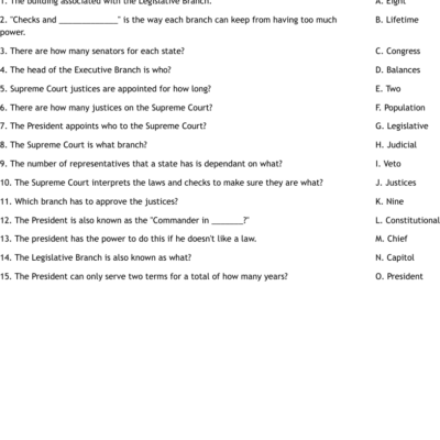 Three Branches Of Government Worksheet WordMint