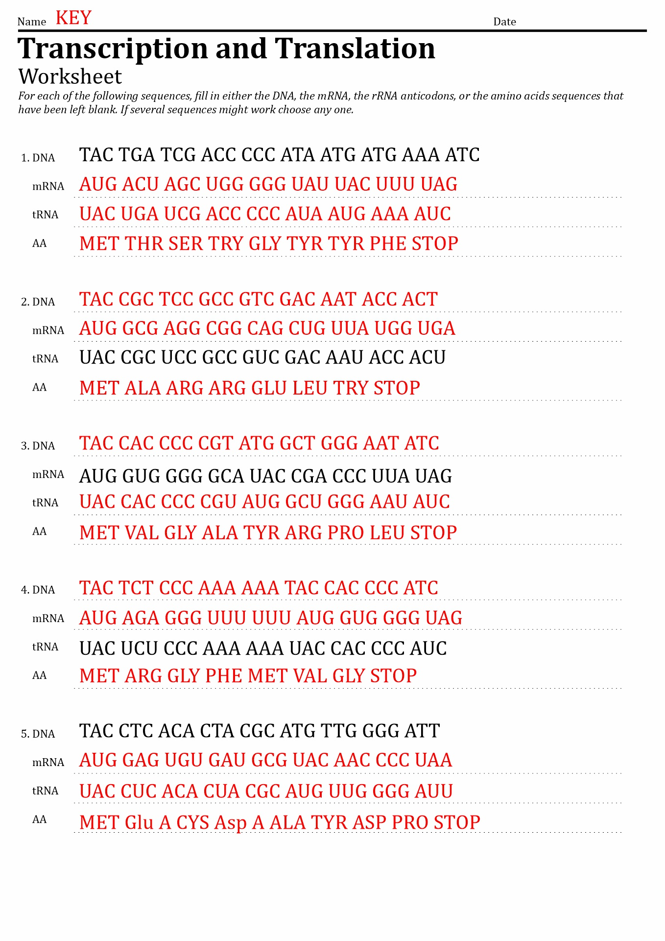 Transcription Translation Worksheet Answer Key Transcription And Worksheets Library