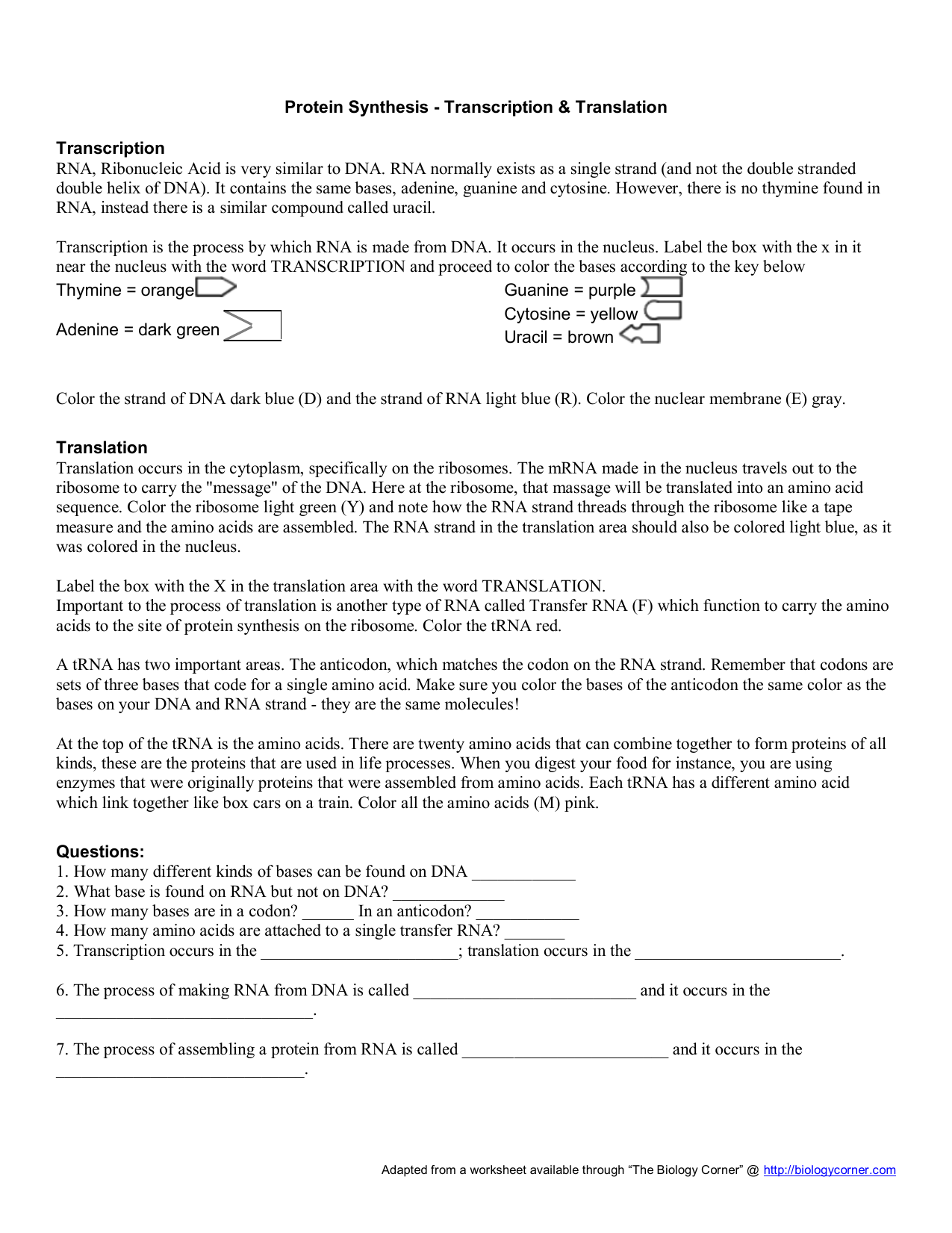 transcription translation worksheet answer key transcription translation worksheet answer key