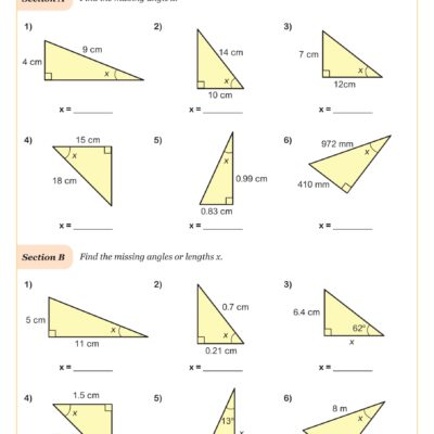 Trigonometric Ratios SOH CAH TOA Missing Side Lengths And Angle Measures Worksheet Fun And Engaging Algebra II PDF Worksheets Cazoom Math
