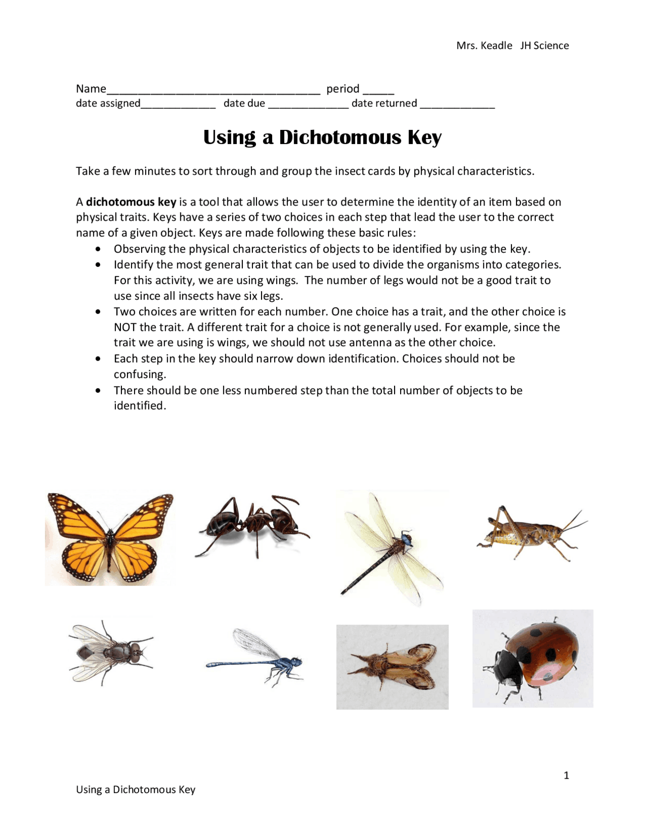 dichotomous key worksheet with answers pdf dichotomous key worksheet with answers pdf