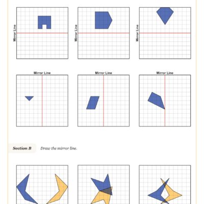 Vertical And Horizontal Reflections Worksheet Fun And Engaging 8th Grade PDF Worksheets Cazoom Math