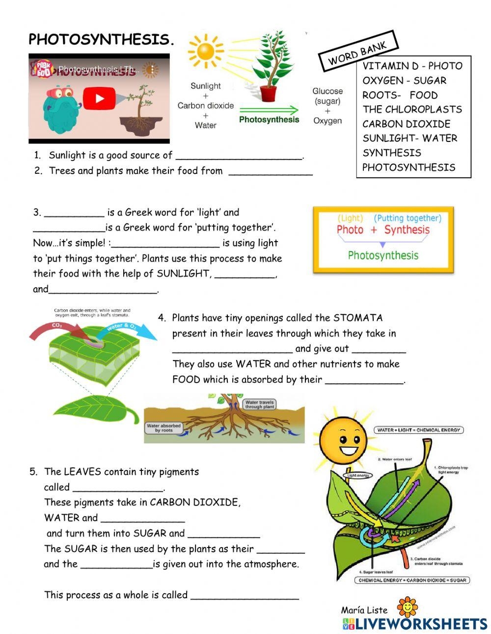 Video worksheet PHOTOSYNTHESiS Interactive Worksheet Worksheets Library Video worksheet PHOTOSYNTHESiS Interactive Worksheet Worksheets Library