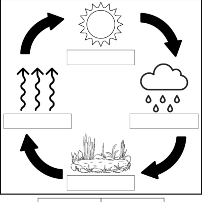 Water Cycle Printables Teaching Mama