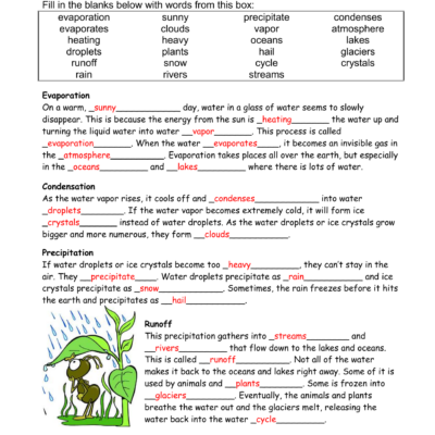 Water Cycle Worksheet Evaporation Condensation Precipitation