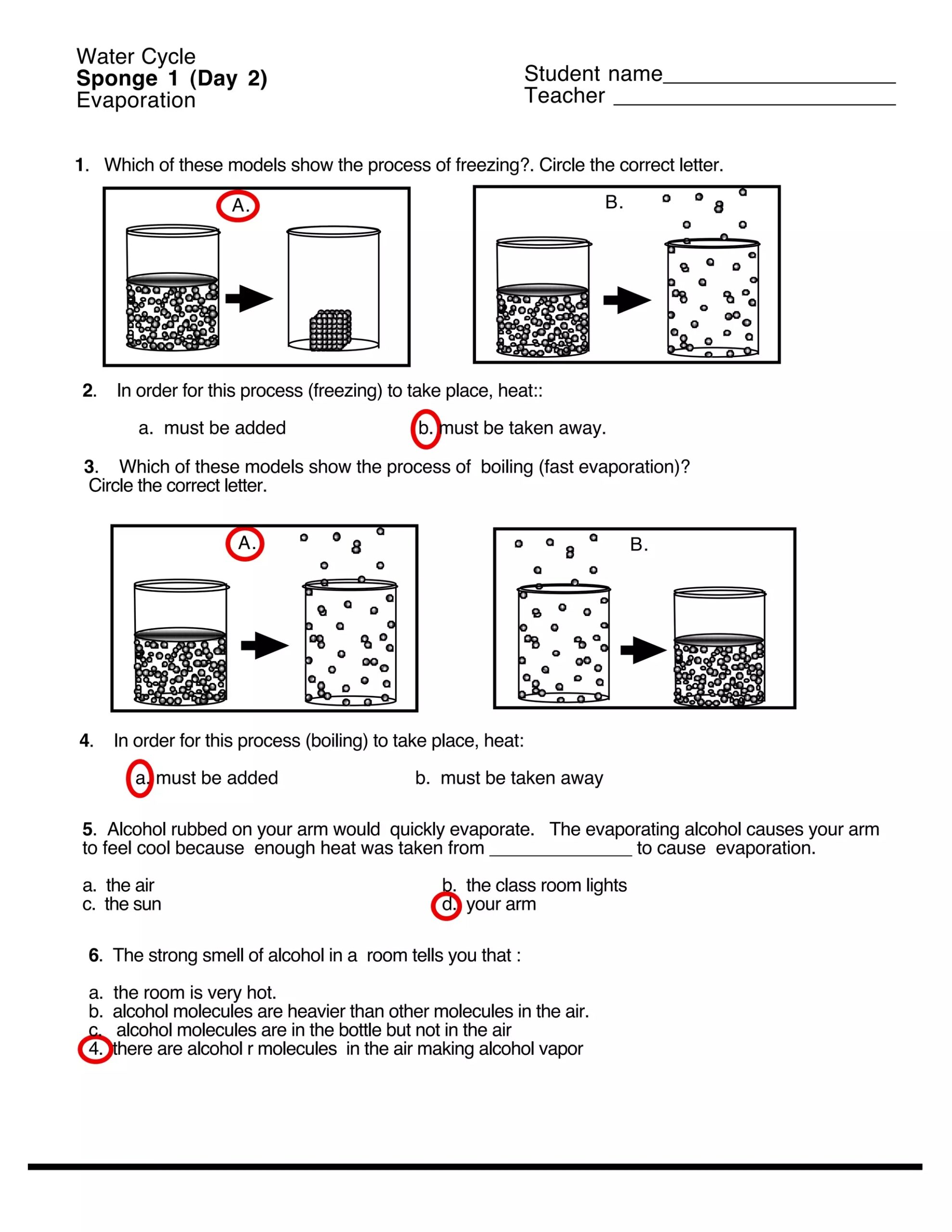 water cycle worksheet with answers pdf