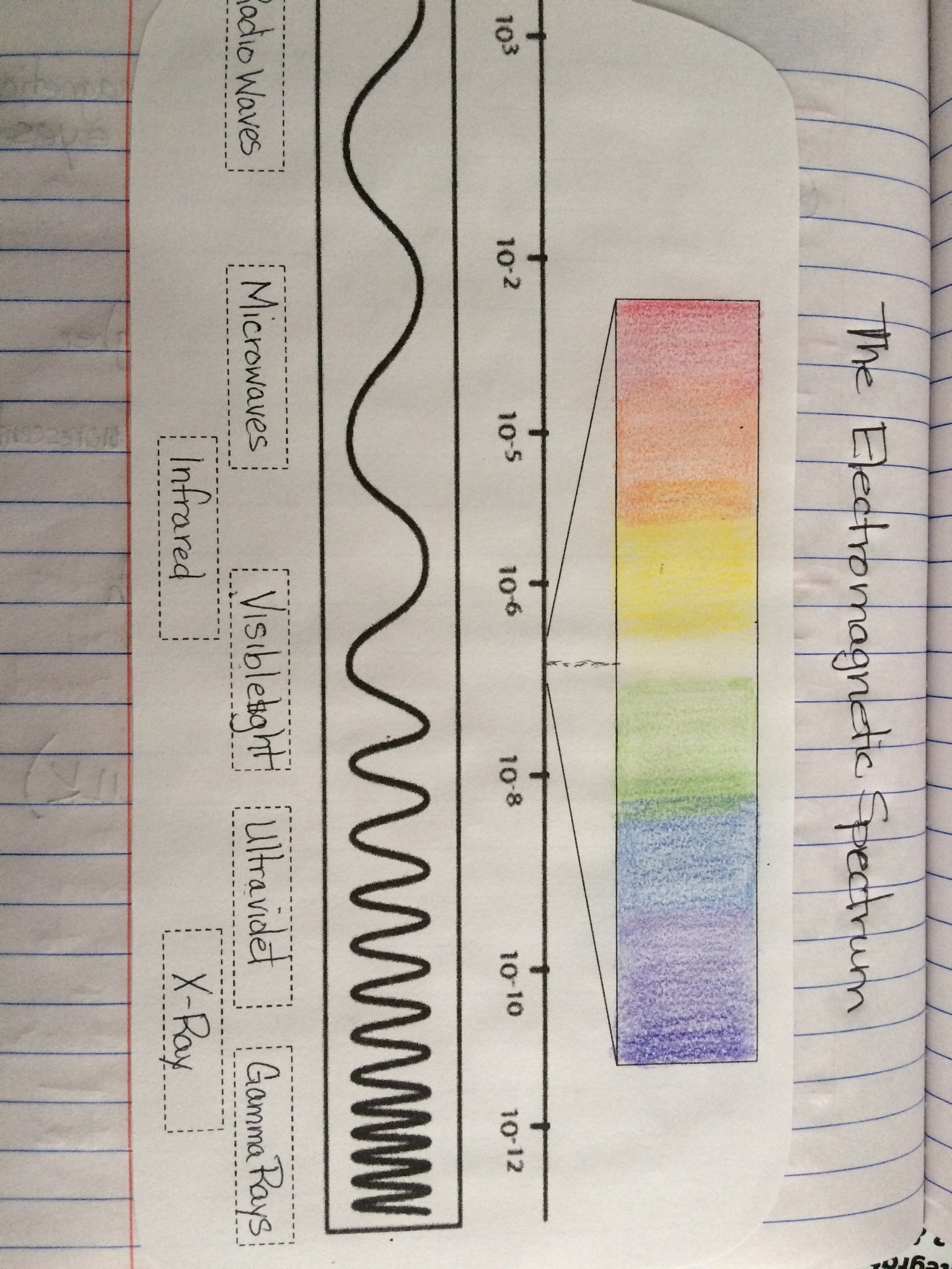 Waves MATH SCIENCE WARRIOR
