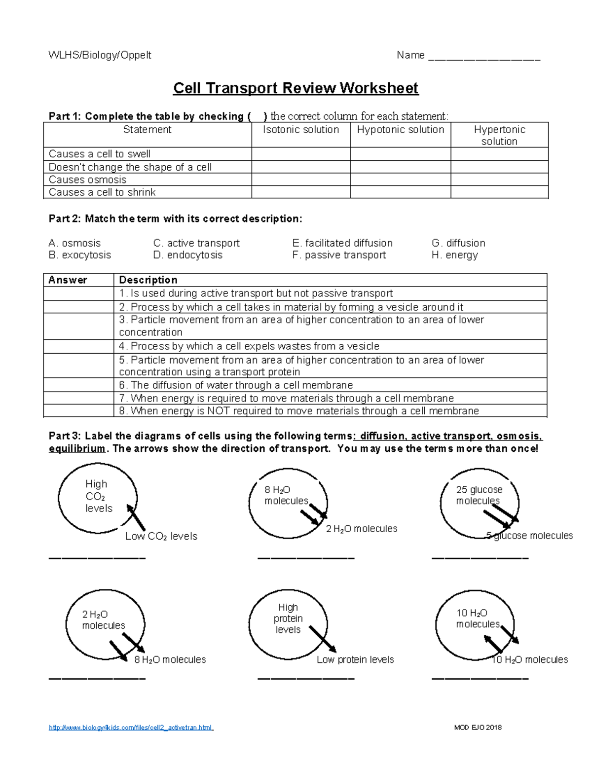 WLHS BIOL Cell Transport Review Worksheet Handout Studocu