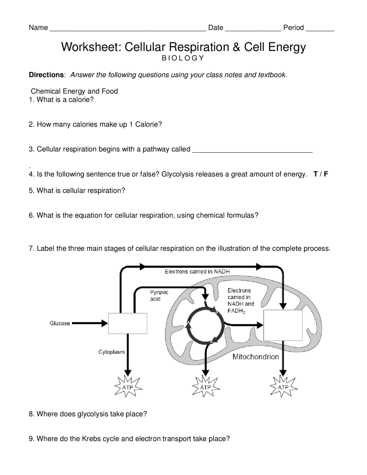 Worksheet Cellular Respiration And Cell Energy Exercises Cell Biology Docsity
