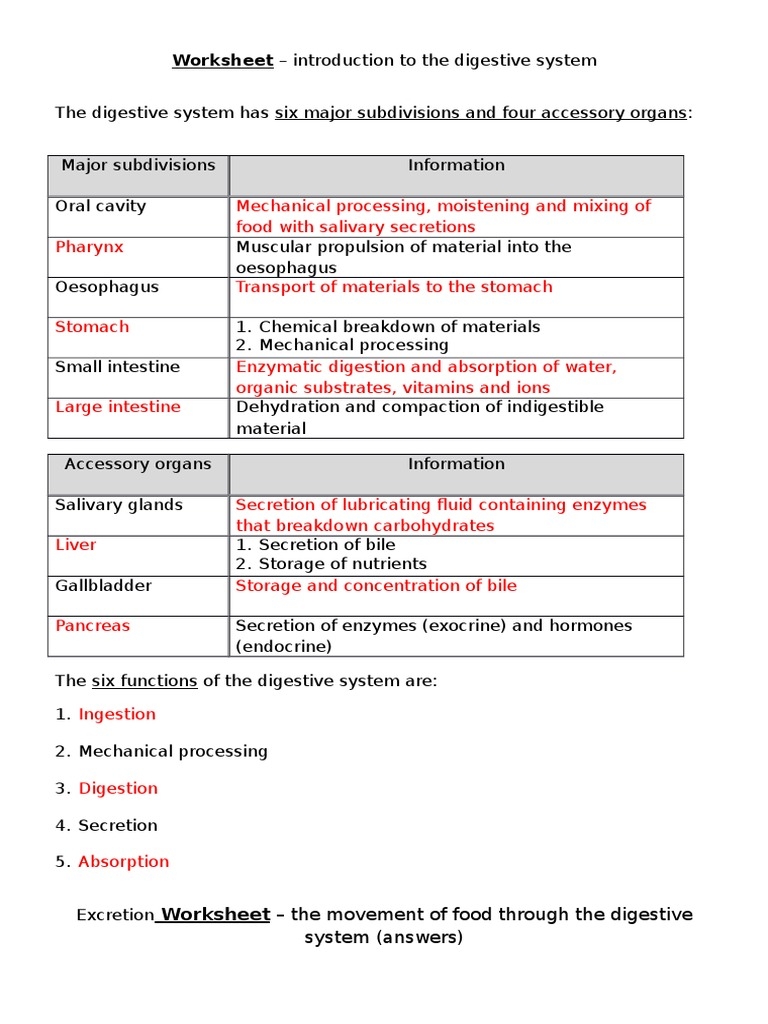 Worksheet Introduction To The Digestive System Answers Worksheets Library