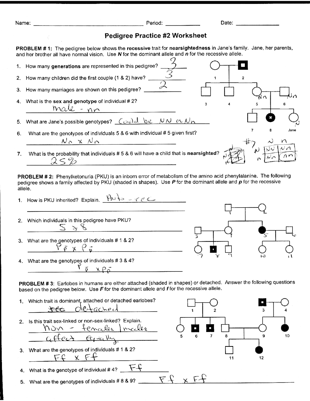 Worksheet Pedigree Practice With Answer Key Exercises Genetics Docsity Worksheet Pedigree Practice With Answer Key Exercises Genetics Docsity