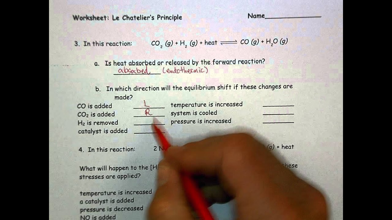 WS Worksheet Le Chateliers Principle Answers YouTube