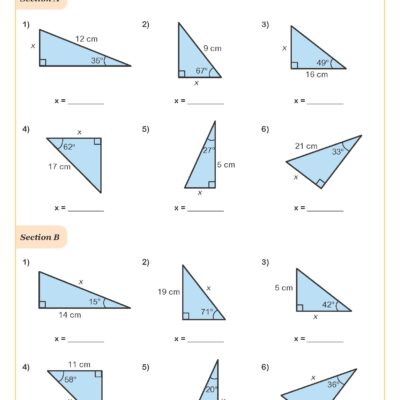 Year 8 Trigonometry Worksheets PDF Printable Worksheets