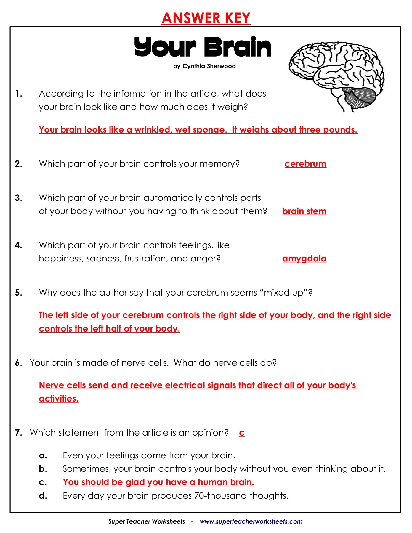 Your Brain Superteacherworksheets Worksheets Library Worksheets Library Your Brain Superteacherworksheets Worksheets Library Worksheets Library